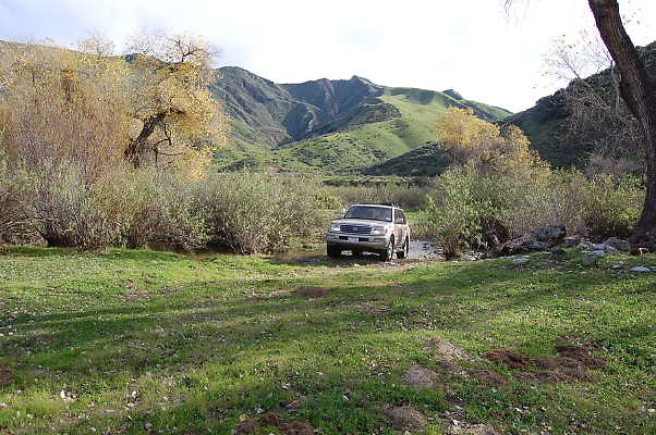 DSC 0073