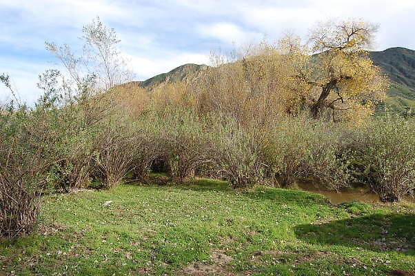 DSC 0054