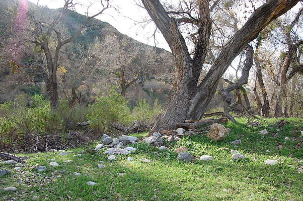 DSC 0052