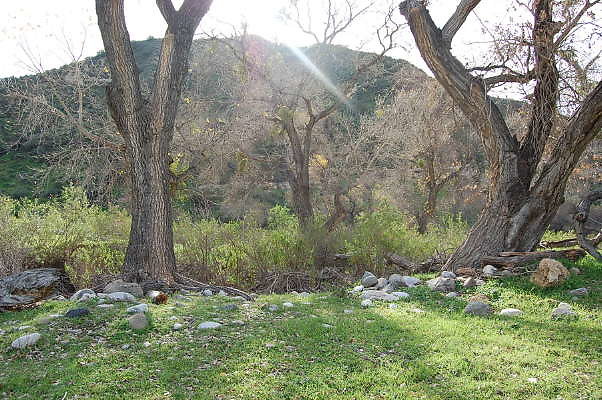 DSC 0056