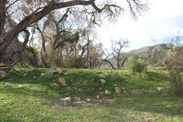 DSC 0064