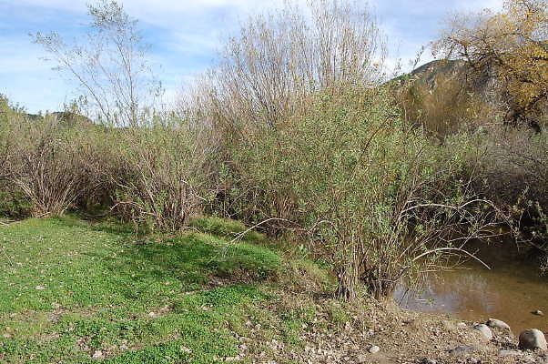 DSC 0047