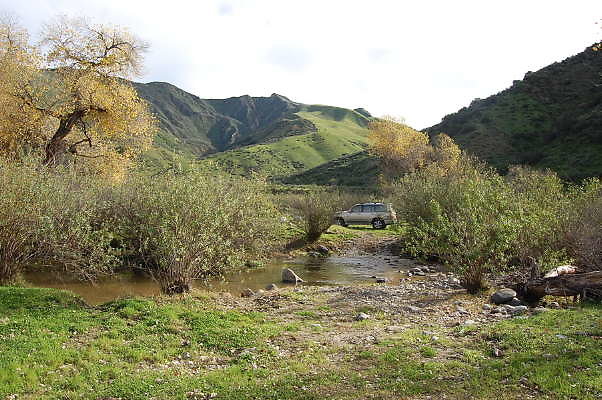 DSC 0062