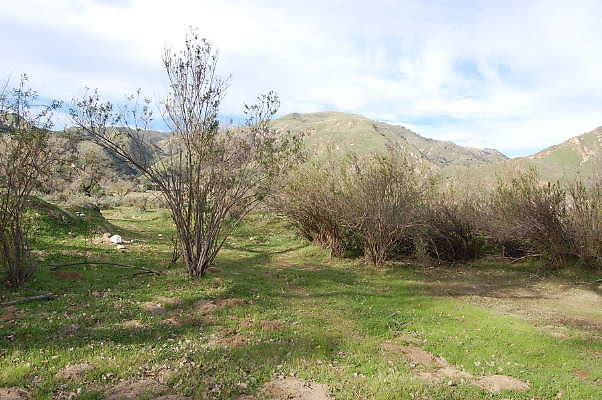DSC 0065