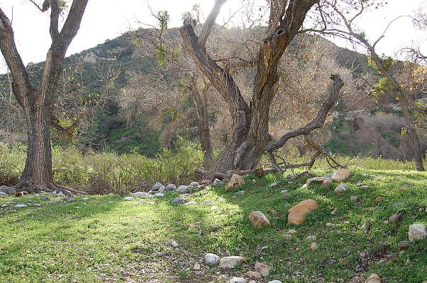 DSC 0071