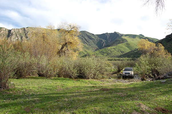DSC 0070