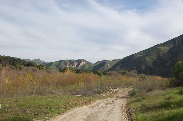 DSC 0283