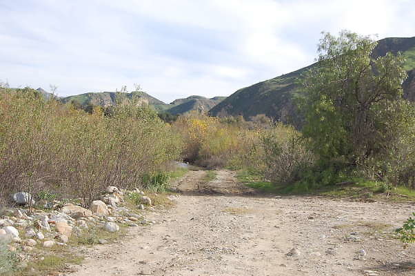 DSC 0286