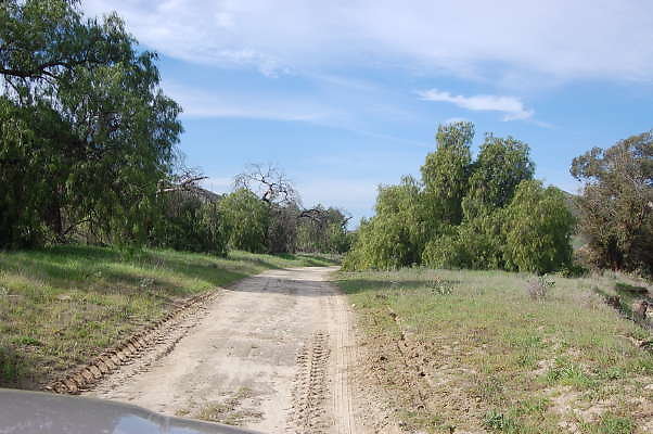 DSC 0253
