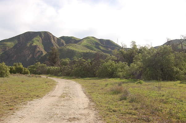 DSC 0279