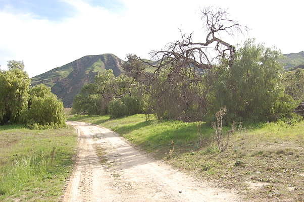 DSC 0259