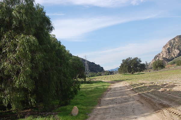 DSC 0274