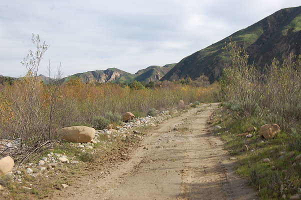 DSC 0284