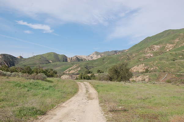 DSC 0269