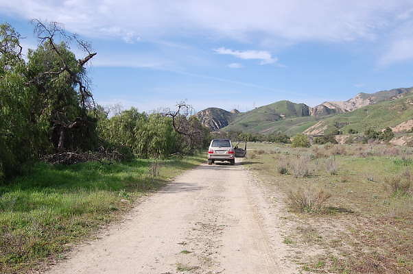 DSC 0262