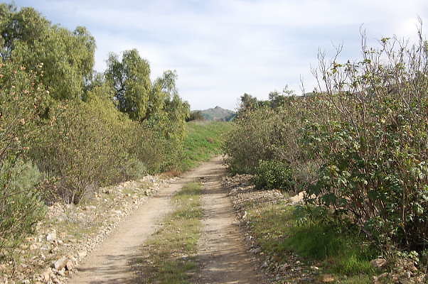 DSC 0294