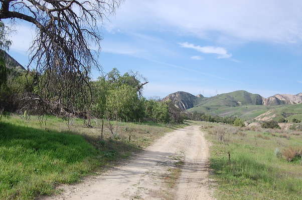 DSC 0255