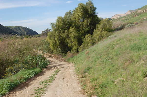DSC 0230