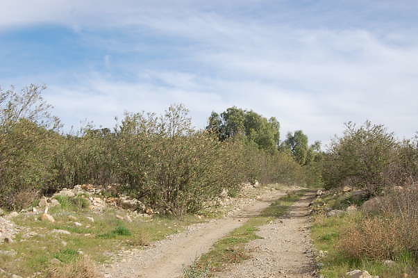 DSC 0292