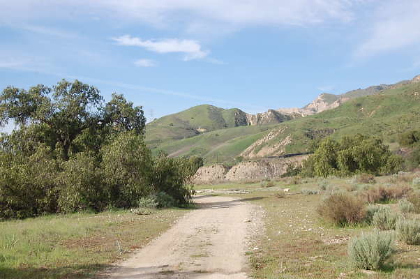 DSC 0272