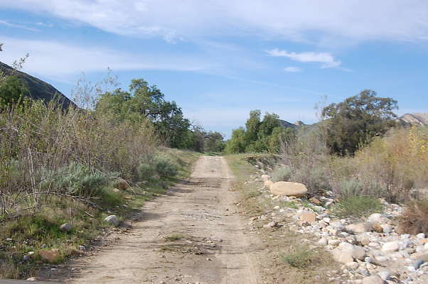 DSC 0252