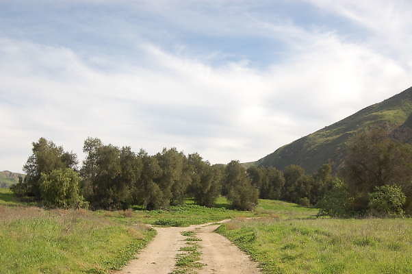 DSC 0297