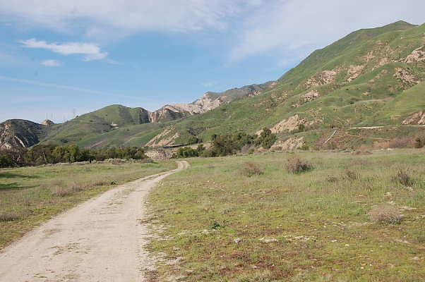 DSC 0268