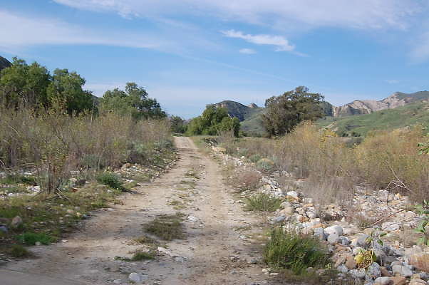 DSC 0251