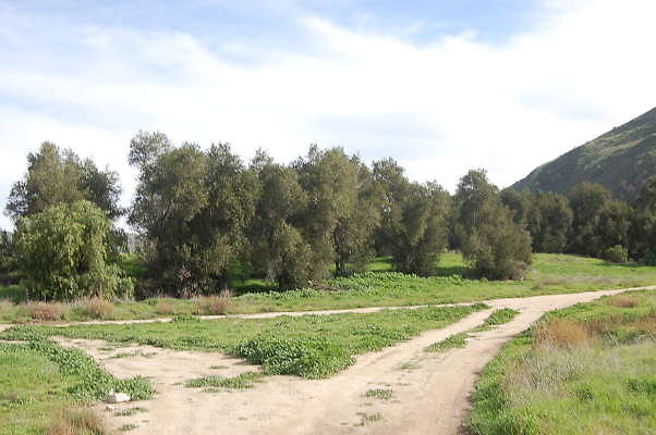 DSC 0298