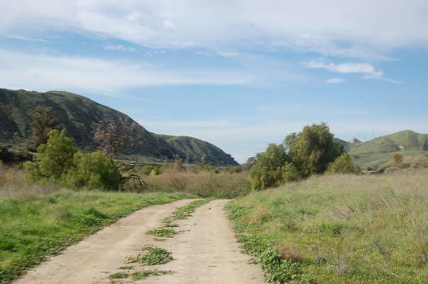 DSC 0229