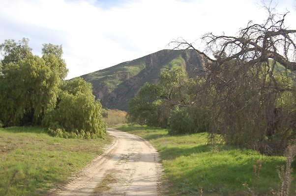 DSC 0282