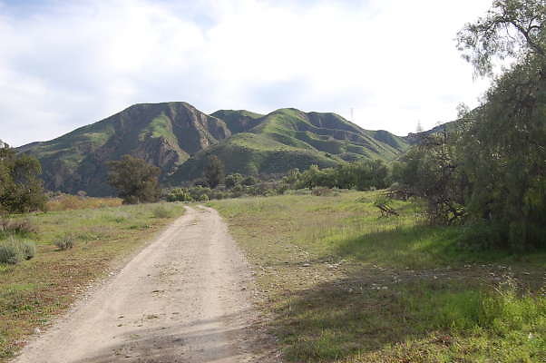 DSC 0275