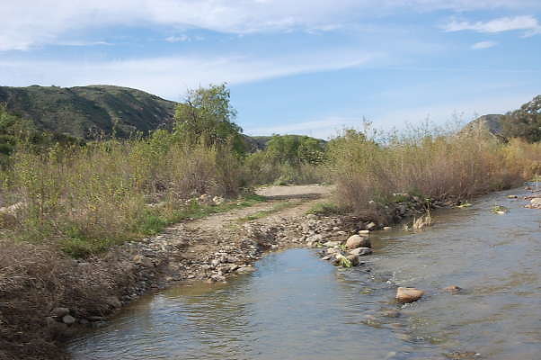 DSC 0239