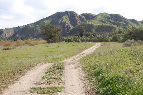 DSC 0277