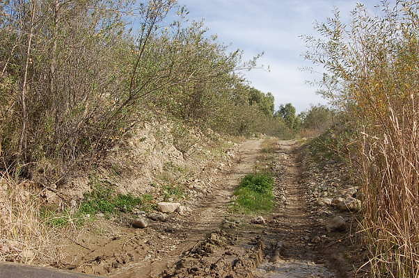 DSC 0291