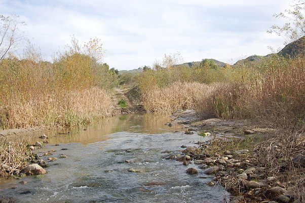 DSC 0289