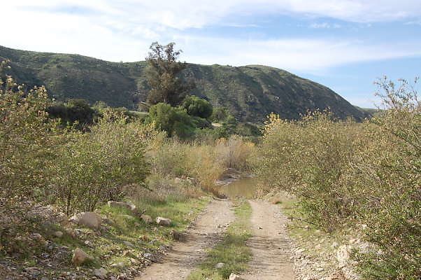 DSC 0233