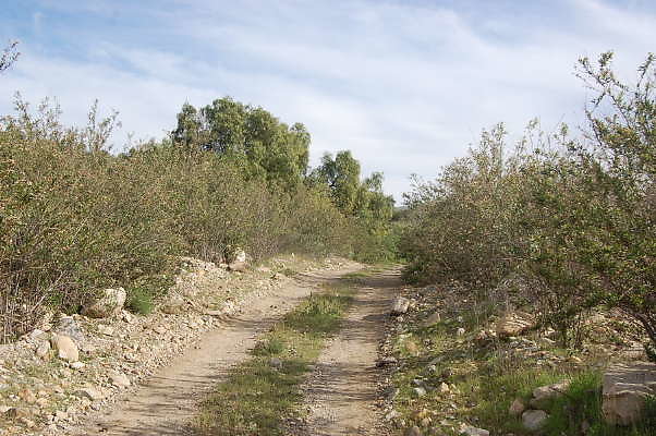 DSC 0293