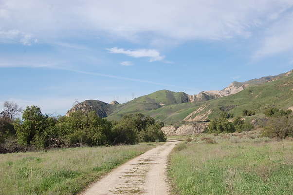DSC 0271