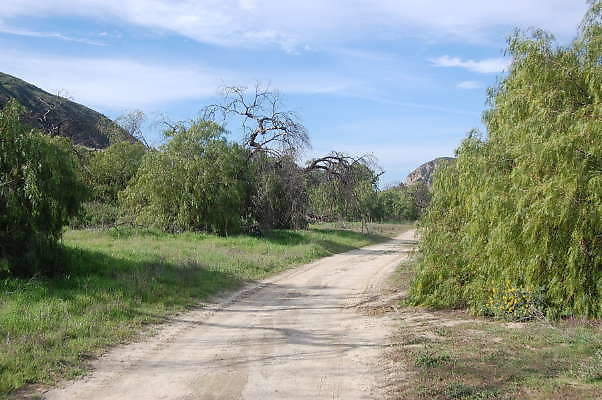DSC 0254