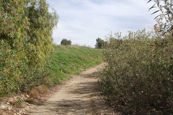 DSC 0295