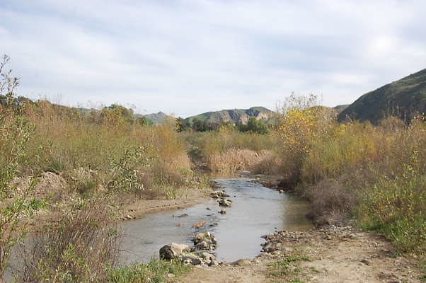DSC 0287