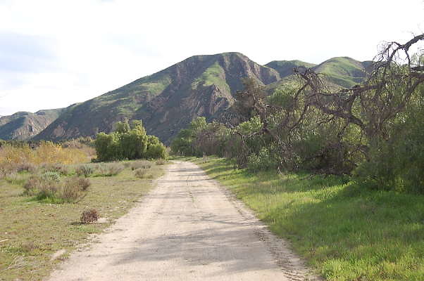 DSC 0280