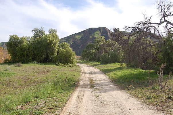 DSC 0266