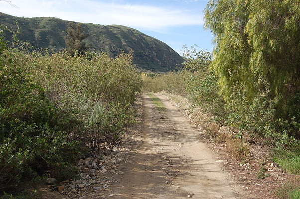 DSC 0231