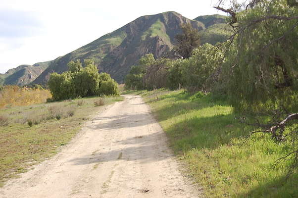 DSC 0281