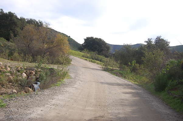 DSC 0138