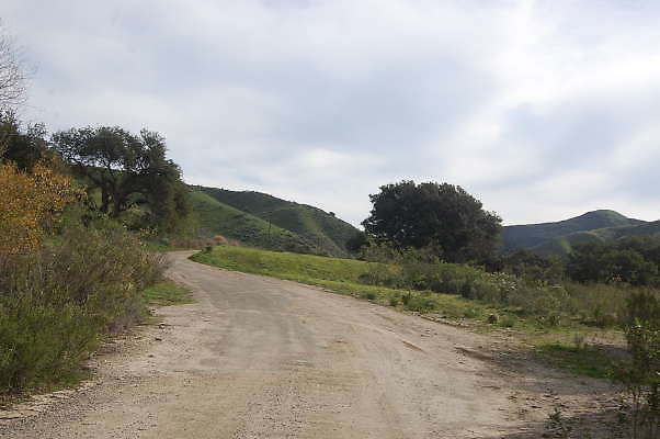DSC 0139