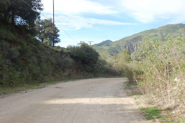 DSC 0157
