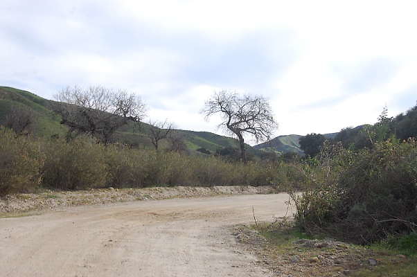 DSC 0129